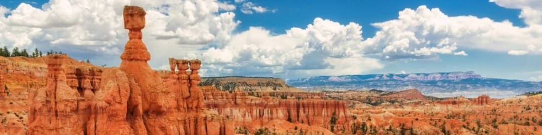 TRASLADO INTERNACIONAL A UTAH